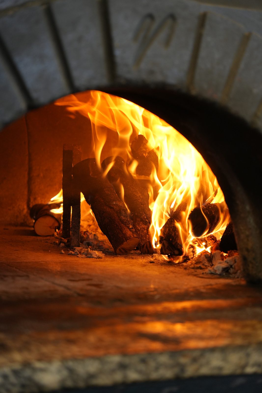 Horno de leña Da Vinci